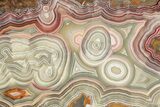 Polished Crazy Lace Agate Slab - Mexico #188847-1